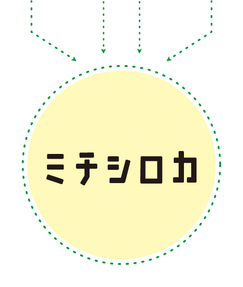 ミチシロカ
